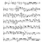 22. Chaconne aus der »Partita für Violine«, BWV 1004, Johann Sebastian Bach. Bearb.: Volker Luft. Musiknotenblatt.