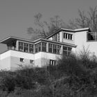 Ein modernes Gebäude mit Flachdach, großen Fenstern und Holzverkleidungen auf einem bewachsenen Hügel.