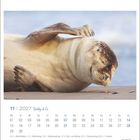 November 2027 Kalender, Robby & Co., mit einem schlafenden Seehund, Logo Eiland. Feiertage wie Allerheiligen markiert.