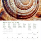 Kalender für Mai 2027, mehrsprachig mit Feiertagen und Notizbereich. Hintergrund zeigt das Muster einer Schneckenschale.