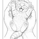 Illustration: Eine kleine, lächelnde Katze liegt entspannt in zwei Händen und streckt ihre Pfoten in die Luft.