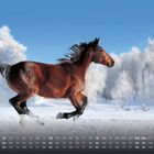 Kalendarium mit Zahlen und Wochentagen. Ein Pferd galoppiert durch eine verschneite Landschaft vor blauem Himmel.