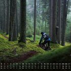 Kalender mit Datumstexten unten, Person auf Mountainbike in grünem Waldpfad bei Nadelbäumen und Moos.
