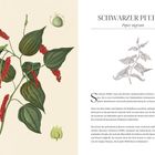 "Schwarzer Pfeffer, Piper nigrum." Links: Illustration mit roten Beeren und grünen Blättern. Text beschreibt Pfeffer.