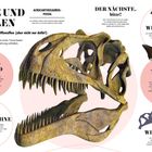 "ZÄHNE UND KRALLEN", "Bereit für die Jagd", "REKORDZÄHNE", "ACROCANTHOSAURUS-FOSSIL", Schädelabbildung mit spitzen Zähnen.