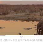 Text: "Elefanten am Wasserloch beim Sonnenuntergang". Zwei Elefanten trinken aus einem Wasserloch in einer trockenen Landschaft.