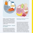 Probiotika in Naturjoghurt, Kefir; Präbiotika in Chicorée, Topinambur; Illustration von Lebensmitteln, Text über Darmflora.