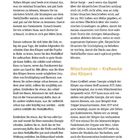 Körperliche Ursachen, Seite 17. Titel: "Mitochondrien – Kraftwerke des Körpers". Dreispaltiger Text, schwarzer und orangefarbener Text.