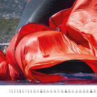 Kalenderblatt mit Datum 12 und Dezember. Eine große rote Segelblase auf Wasser, im Hintergrund grüne Landschaft.