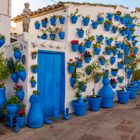 Viele blaue Blumentöpfe an weißen Wänden, bunte Blumen, eine blaue Tür, eine Statue oben auf dem Haus.