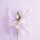 Ein blasser Hintergrund mit gehäkelten weißen und grünen Blumen, eingewickelt in halbtransparentes Papier.