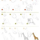 Elefantenjunges, Waschbär, Giraffe. Schritt-für-Schritt-Zeichnungen der Tiere in verschiedenen Entwicklungsstufen.