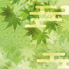 Keine Texte zu erkennen. Illustrierte Blätter und geometrische Muster in Grüntönen.