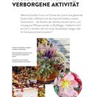 "Stille Schönheit und verborgene Aktivität". Text beschreibt Gartenimpressionen im Winter. Fotos von Pflanzen und einem Igelhaus.