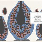 "Atlas of Calcareous Sponges" steht im Zentrum, umgeben von blauen und orangefarbenen schematischen Schwammzeichnungen.