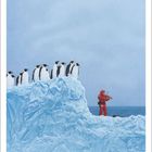 "12 steht unten links. Ein Geiger in rotem Anzug spielt auf einer Eisscholle für eine Gruppe Pinguine."