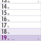 Kalenderseite für Dezember, zeigt Wochentage und Daten. Besondere Tage: Nikolaus, Weihnachten, Silvester. Enthält Wochenzahlen.