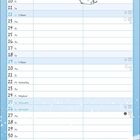 Kalenderblatt für Dezember. Zwei Katzen mit Skiern im Schnee. Text: "Frag nie, wohin es geht, wenn der Weg schön ist."