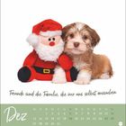 "Freunde sind die Familie, die wir uns selbst aussuchen." Ein Welpe neben einem Plüsch-Weihnachtsmann, Kalender für Dez.