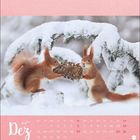 Text unten: "Dez" und Kalenderdaten. Zwei Eichhörnchen halten einen Tannenzapfen im verschneiten Wald.