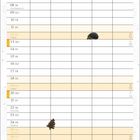 "Dezember. Der Mut fehlt dem Grüffelokind jetzt sehr, aber langweilig ist es ihm auch nicht mehr." Illustration mit Grüffelo.