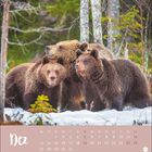 "Dez" gefolgt von einem Kalender für Dezember. Drei Bären im Schnee vor einem Hintergrund aus Bäumen.