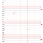 Kalender für Dezember mit Adventssonntagen, Weihnachten. Unten Katzenillustrationen mit Weihnachtsbaum und Geschenken.