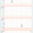 Oben "NAME", darunter Kalenderdaten für Dezember. Unten Illustration von einem Fuchs vor Kiefern und Bergen.