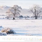 Kalenderseite mit dem Monat "dezember". Eine verschneite Landschaft mit zwei Bäumen im Vordergrund.
