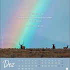 Zitat von Nietzsche über Hoffnung, darunter ein Dezemberkalender. Hirschherde vor Regenbogen in Landschaft.