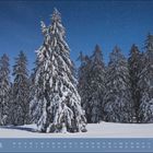 Dezember, Mi, Do, Fr, Sa, So. Verschneite Tannenbäume unter klarem Sternenhimmel.