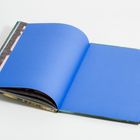 Seite 78 unten links, blaues Blatt in Buch, darunter schwarz-weißes Muster.