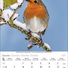 Dezember 2027, Kalender mit Rotkehlchen auf schneebedecktem Zweig, Sonntag rot markiert.