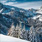 Kalenderblatt Januar 2023 mit Bergmotiv an der Wand. Darunter Regal mit Karaffe, Glas, Büchern und Deko-Elementen.