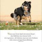 September 20-27. Spruch über das Ballspielen mit Hund. Hund springt über Gras, kleiner orangefarbener Ball daneben.