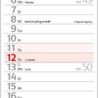 Kalenderblatt für Dezember 2027 mit Feiertagen und Adventssonntagen. Ein Foto zeigt eine bunte Katze im Schnee.