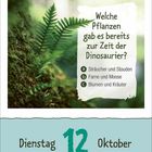 Kalenderblatt mit Farnen. Text: "Welche Pflanzen gab es bereits zur Zeit der Dinosaurier?" Datum: Dienstag, 12. Oktober.
