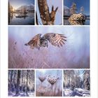 Kalenderblatt für Dezember 2024 mit Wintermotiven: eine fliegende Eule, verschneite Landschaften, ein Eichhörnchen und gefrorene Pflanzen.