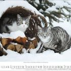 Kalender für Dezember 2023. Zwei getigerte Katzen im Schnee, eine in einem Korb mit Holzscheiten.