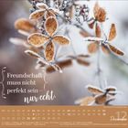 "Freundschaft muss nicht perfekt sein – nur echt." Kalenderblatt mit vereisten, braunen Blüten als Illustration. Datum: 12. Dezember.