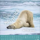"Ich habe meine MOTIVATION auf Eis gelegt." Ein Eisbär liegt erschöpft auf einer Eisfläche. Unten ein Kalender.