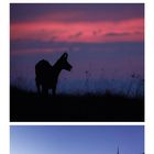 Kalenderblatt Dezember: Drei winterliche Landschaftsaufnahmen, Kalenderwochen 49-52 in rot. Orte: Schweiz, Deutschland, Österreich.