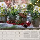 Dezember, Gartentipps, Rezeptidee, Saisonkalender. Christrosen in Tassen mit Tannenzapfen auf rotem Tablett und Decke.