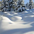 Text: "Da glänzt in die schneeige Winternacht... so schön." Maurice Reinhold. Schnee bedeckte Tannen vor blauem Himmel.