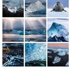 Kalender: Dezember 12; Fotos von Eislandschaften und einer Robbe; Sonnenstrahlen und Gletscher; Strand mit Eisklumpen.