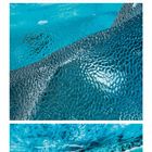 Kalenderblatt für Dezember mit Eisbildern: oben ein kristallartiger Eisberg, mittig Eisstruktur, unten Höhlenszene mit Eisblock.