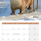 Kalenderblatt Dezember 2027, darunter ein Fischotter auf Eis mit Schilf im Hintergrund.