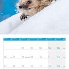 12.2027. Oben ein Igel im Schnee, blaue Umgebung. Unten ein Kalender für Dezember. Feiertage wie Weihnachten sind markiert.
