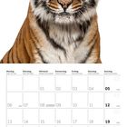 Kalenderseite Dezember 2027 mit Wochentagen und Feiertagen. Oben das Porträt eines Tigers.