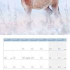 Kalender mit Dezember-Daten, darunter Feiertage. Przewalski-Pferd steht im verschneiten Feld.